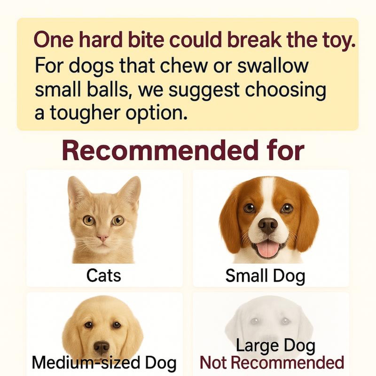 Recommended for cats, small dogs, and medium dogs; not recommended for large dogs